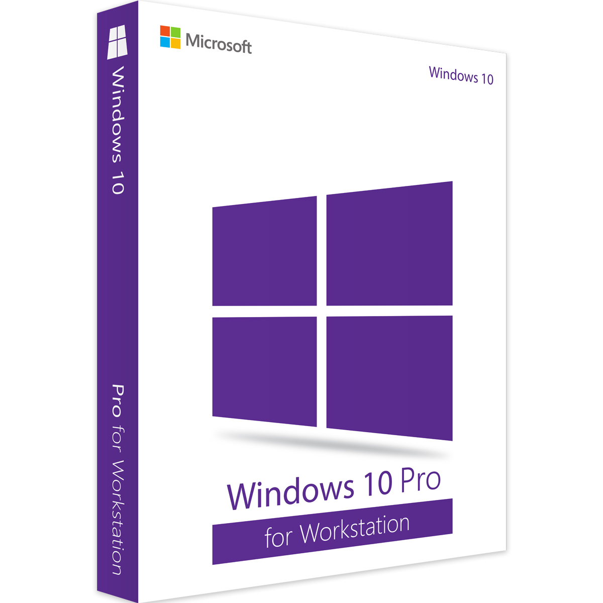 Windows 10 Professional Workstation 1 PC